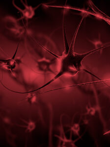 Leia mais sobre o artigo Sinapse Neurologia